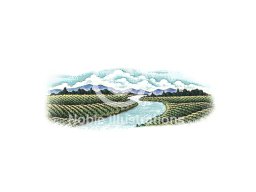 vineyard landscape scene